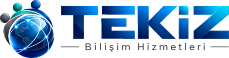 Tekiz Bilişim